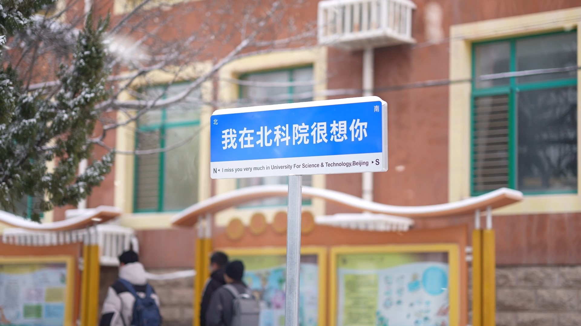 2023北京冬日里的第一场雪，快一起来北科赏雪景吧#北京下雪了 #北京初雪 #校园景色